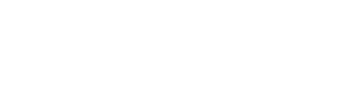 Virgile Consulting — Strategy. Solutions. Success.
